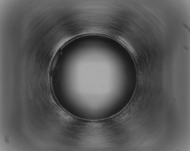 X0000092030996200709061347