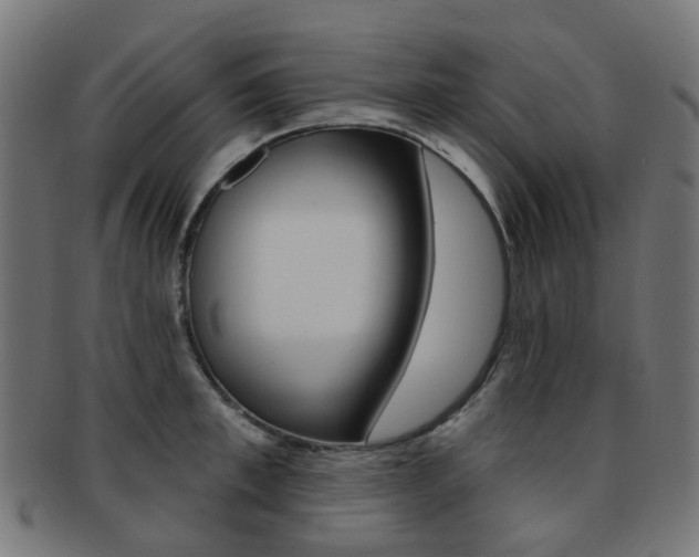 X0000092030997200709061347