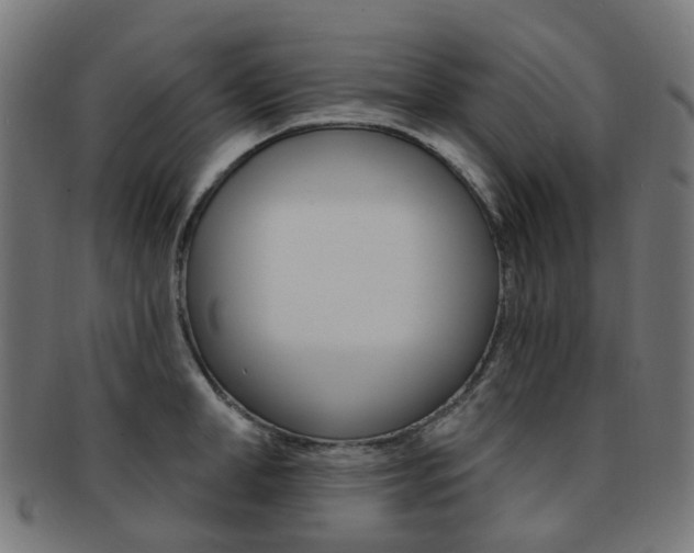X0000092030998200709061347