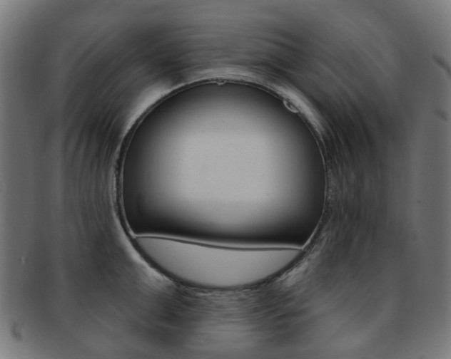 X0000092030999200709061347