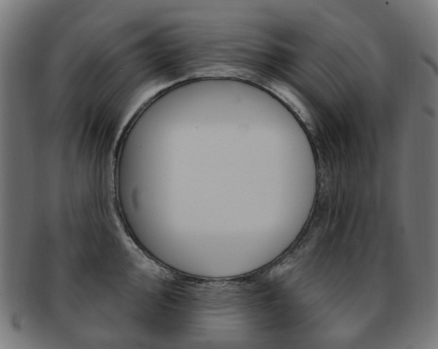 X0000092031000200709061347
