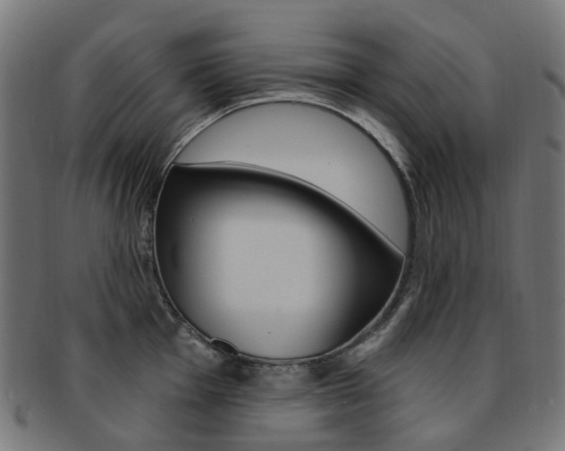 X0000092031001200709061347