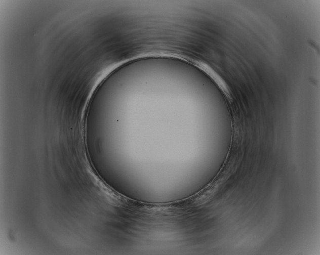 X0000092031004200709061347