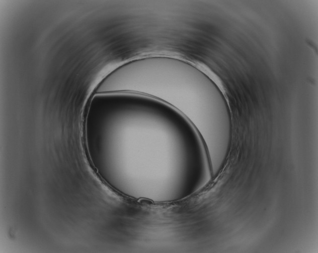 X0000092031005200709061347