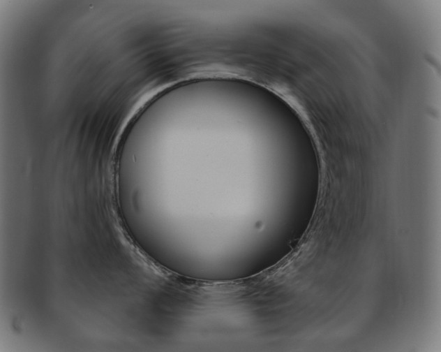X0000092031008200709061347