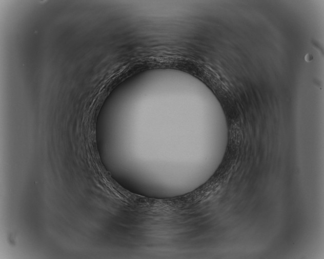 X0000092031009200709061346