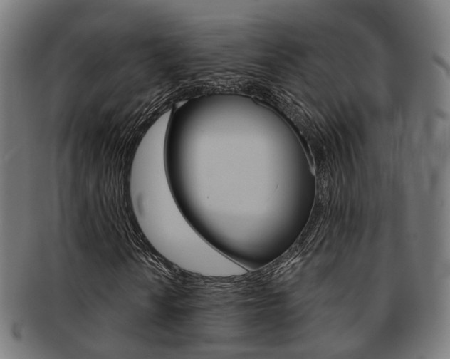 X0000092031010200709061346