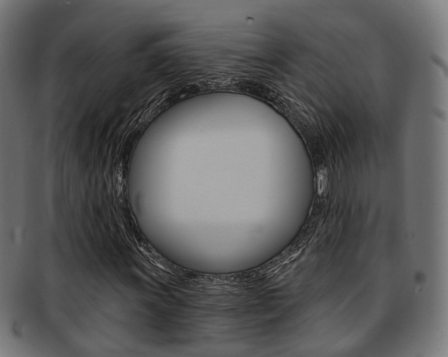 X0000092031011200709061346