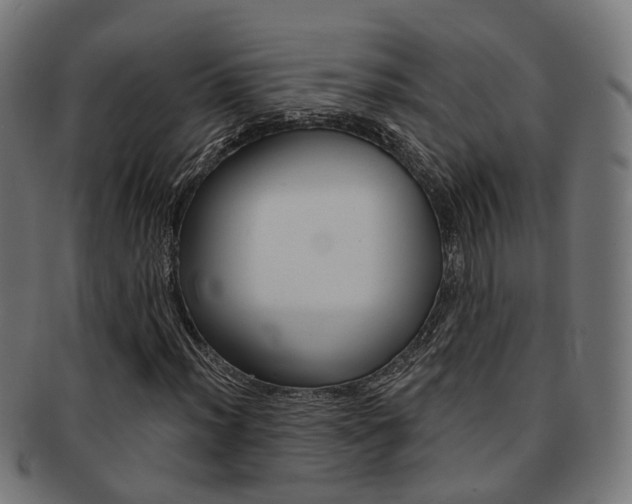 X0000092031012200709061346