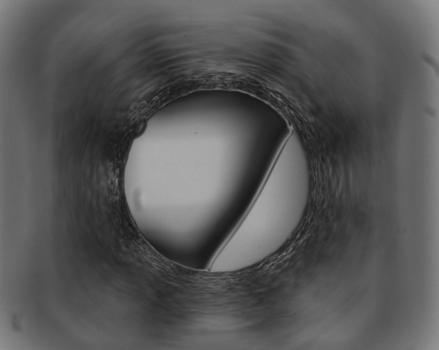 X0000092031013200709061346
