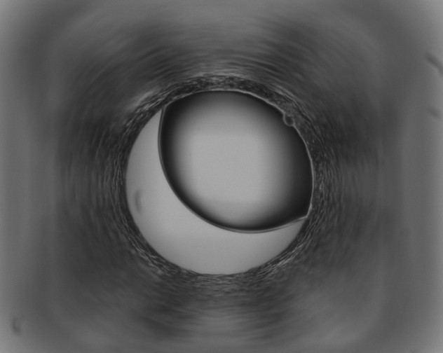 X0000092031014200709061346
