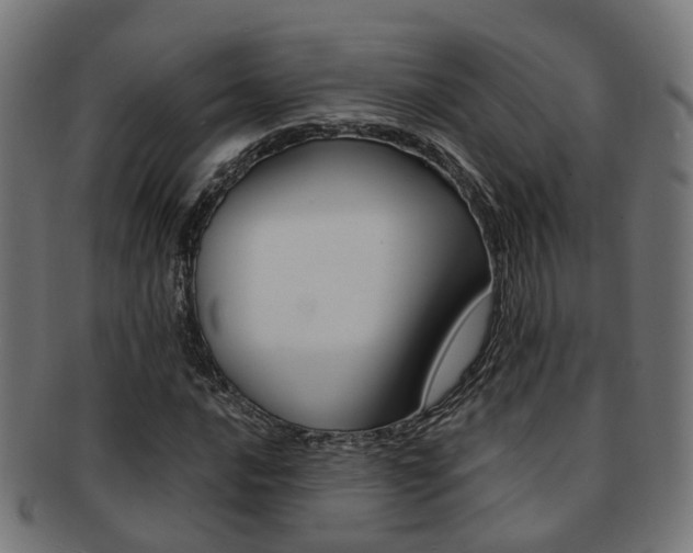 X0000092031016200709061346