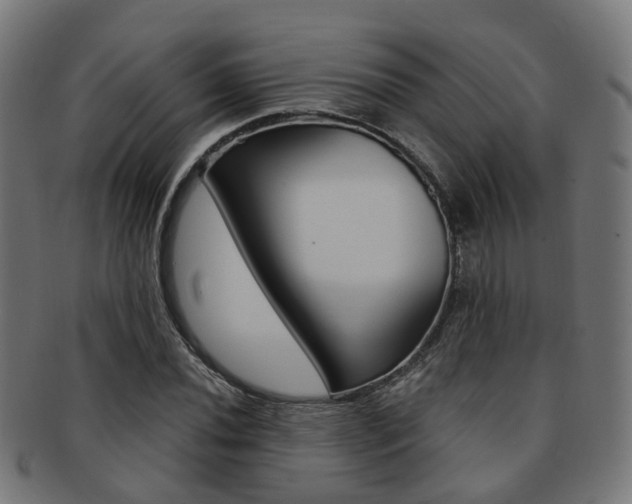 X0000092031020200709061347