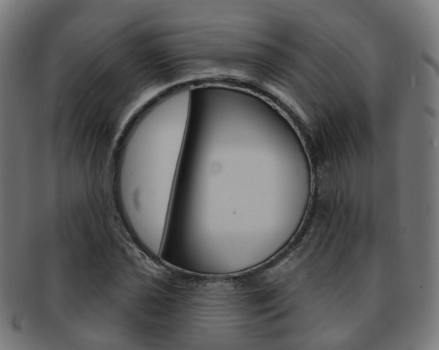 X0000092031021200709061347