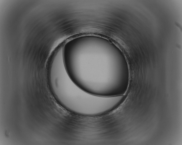 X0000092031022200709061347