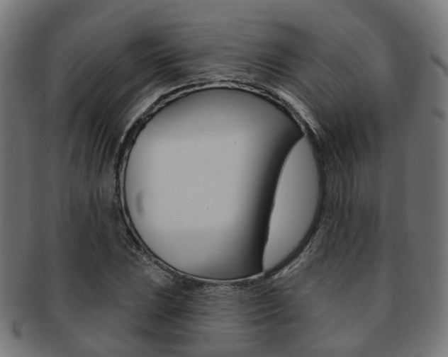 X0000092031023200709061347