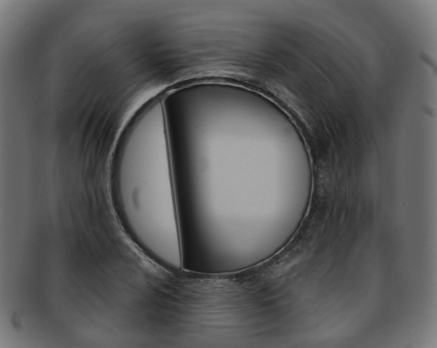 X0000092031024200709061347
