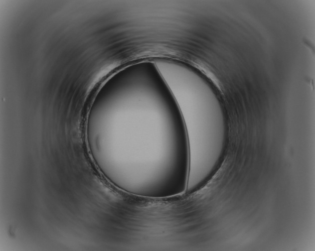 X0000092031026200709061347