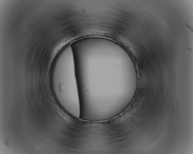 X0000092031027200709061347