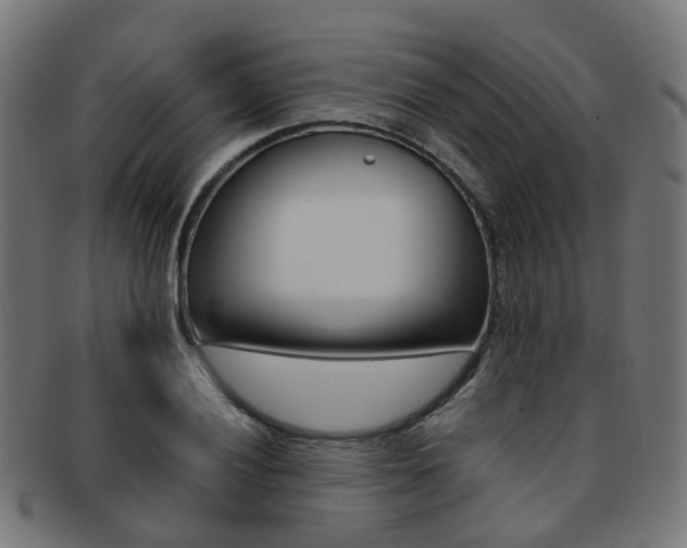 X0000092031028200709061347