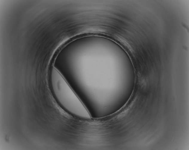 X0000092031029200709061347