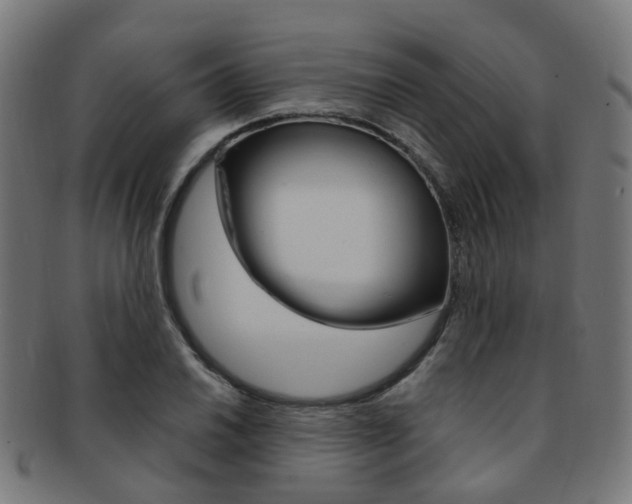 X0000092031030200709061347