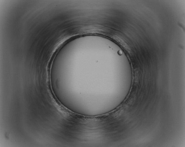 X0000092031031200709061347