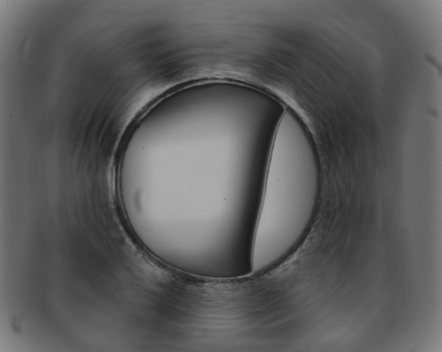 X0000092031032200709061347
