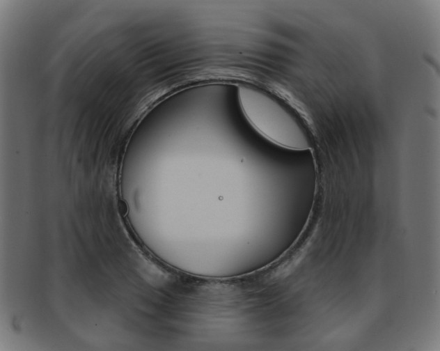 X0000092031033200709061347