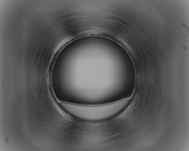 X0000092031034200709061347