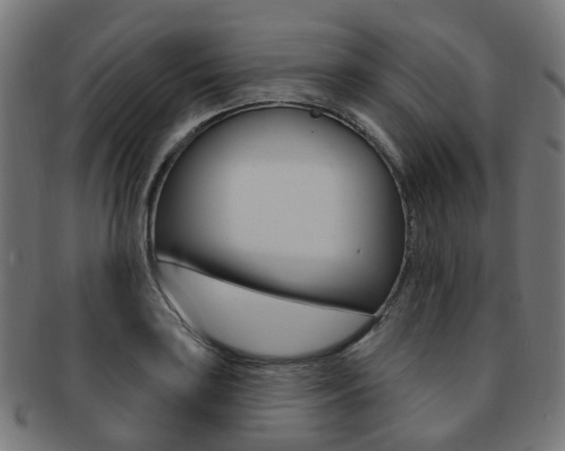 X0000092031035200709061347