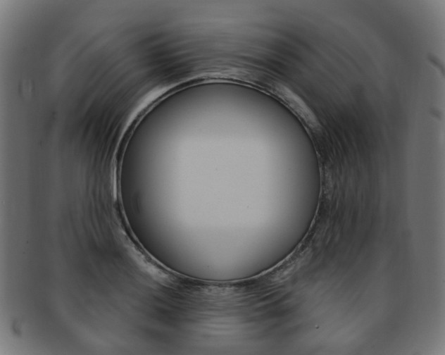 X0000092031036200709061347