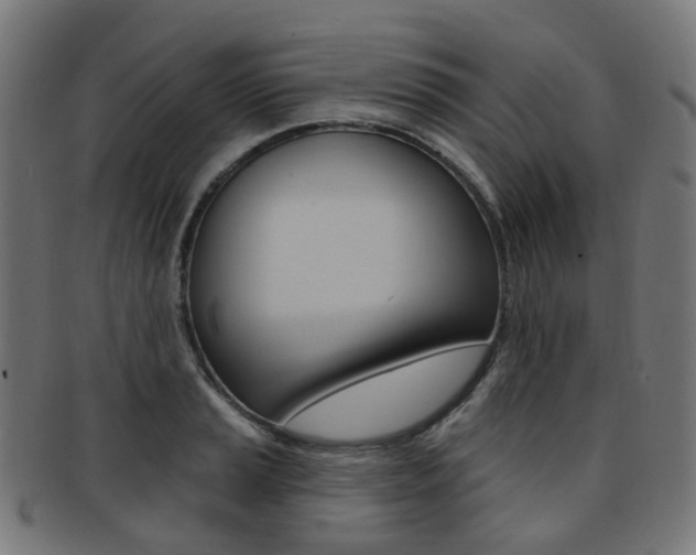 X0000092031037200709061347