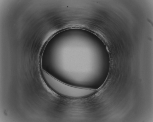 X0000092031038200709061347