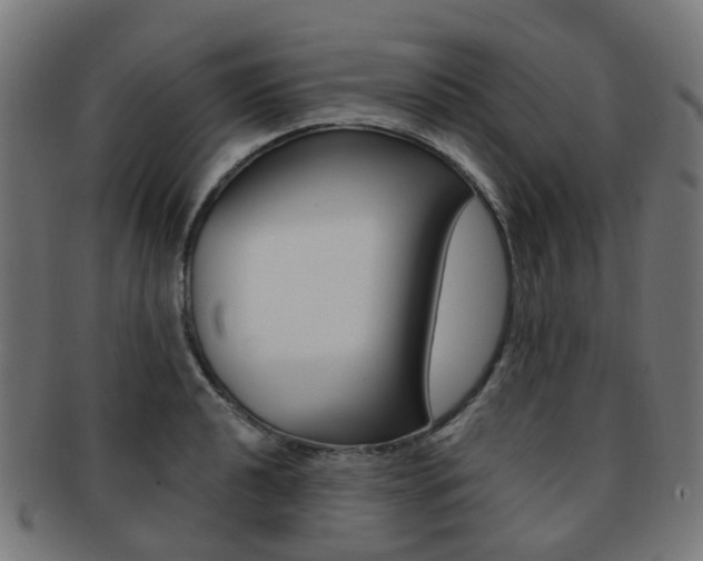 X0000092031040200709061347