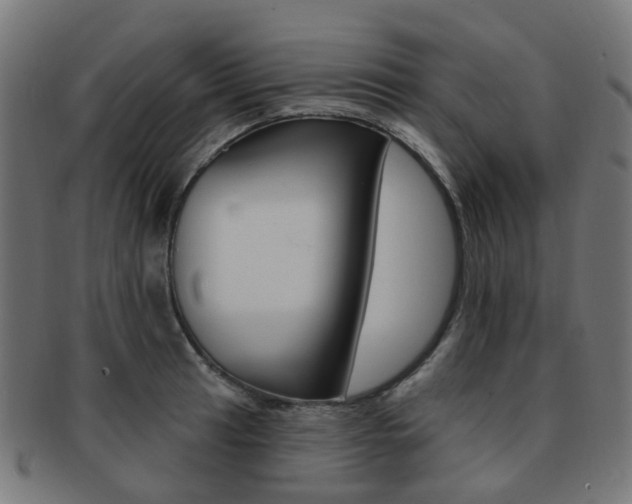 X0000092031041200709061347