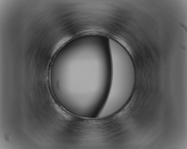 X0000092031042200709061347