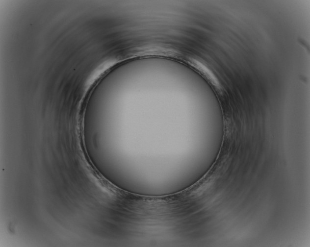X0000092031043200709061347