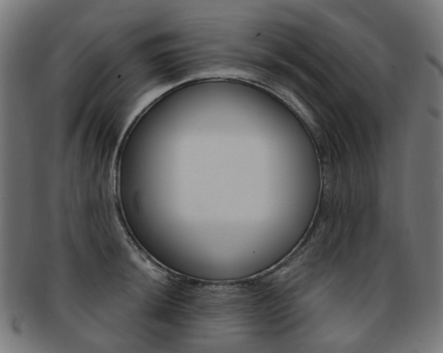 X0000092031044200709061347