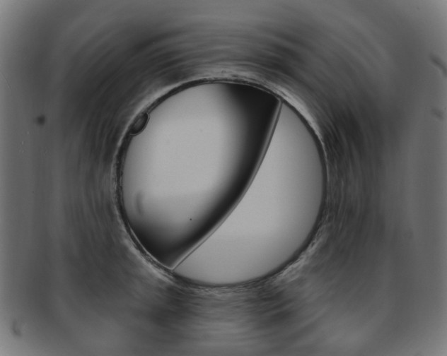 X0000092031045200709061347