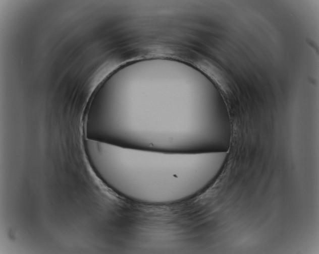 X0000092031047200709061347