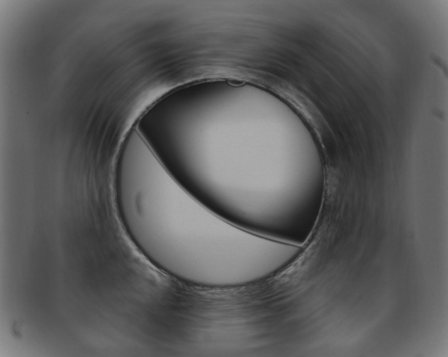 X0000092031048200709061347