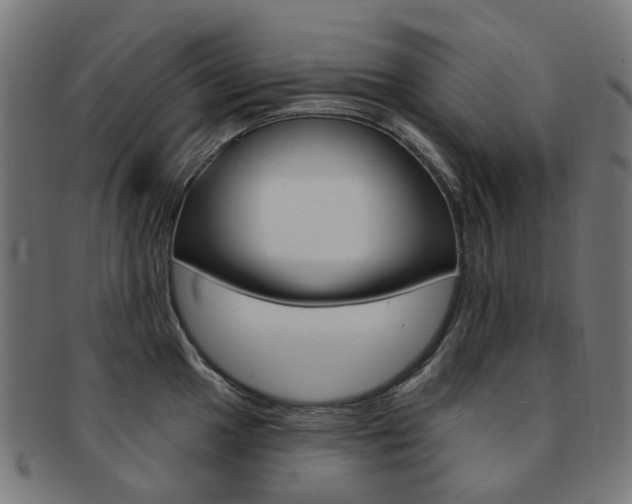 X0000092031049200709061347