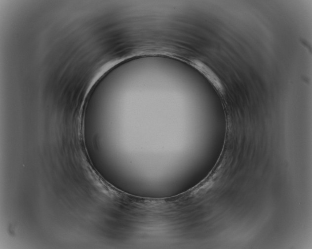 X0000092031052200709061347
