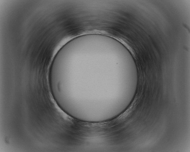 X0000092031054200709061347