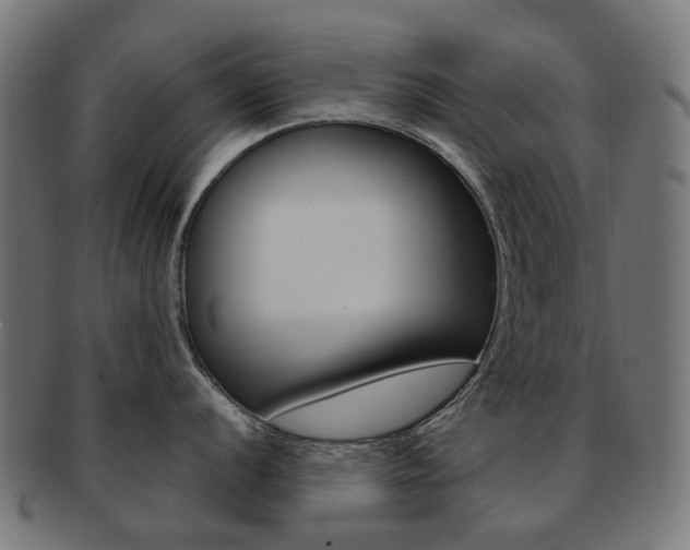 X0000092031056200709061347