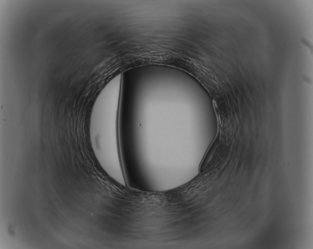 X0000092031058200709061346