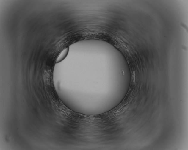 X0000092031059200709061346
