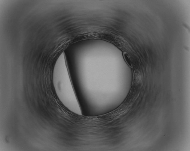 X0000092031060200709061346