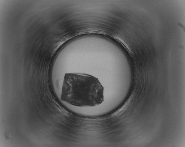 X0000092031065200709061346